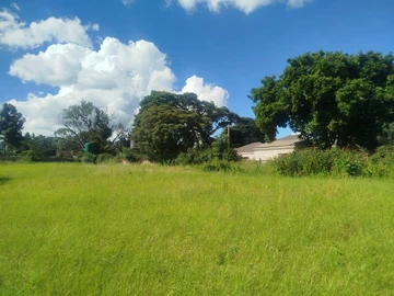 Land