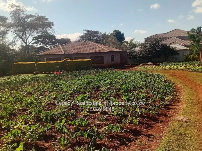 Shawasha Hills Investment Opportunity | Huge Stand | Ready To Expand WITH a Cottage