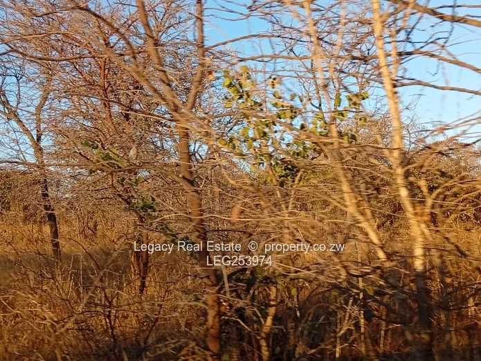 50.6ha Zvimba Farm — Fenced Grazing, Arable Land & Dam (Sole Mandate)