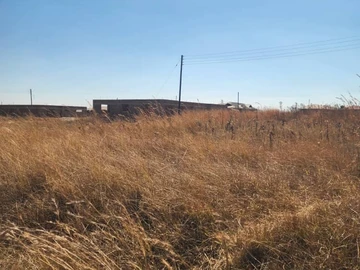 Stands & Residential Land