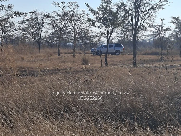 Unlock the Potential of Virgin Land in Selous,Land That Works for Your Future