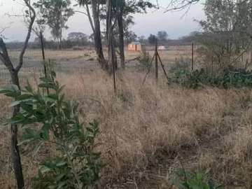 Land