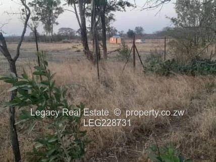 Plumtree Stand for Sale – 1 Hectare