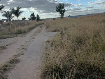 Farm & Agricultural Land