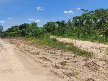 Farm & Agricultural Land