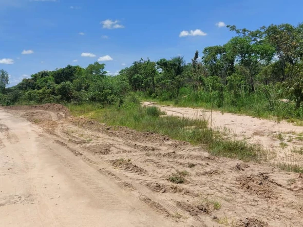 Farm & Agricultural Land