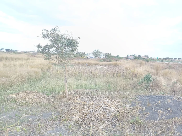 Prime 1-Hectare Plot In Rainham With Reliable Water Supply