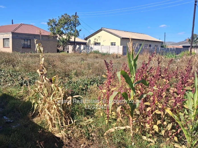 Ruwa Stands for Sale – Cranbrook Side
