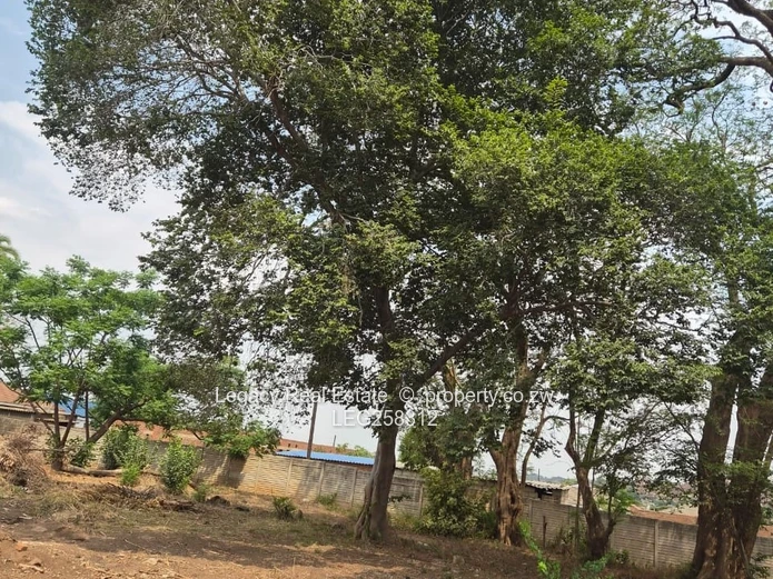 438m² Cold Comfort Stand — Mature Trees & Nearby Development