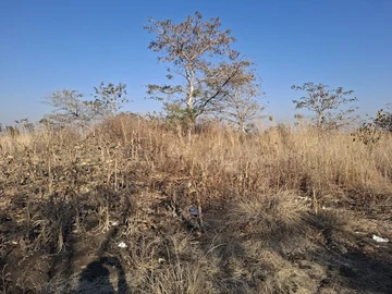 Farm & Agricultural Land
