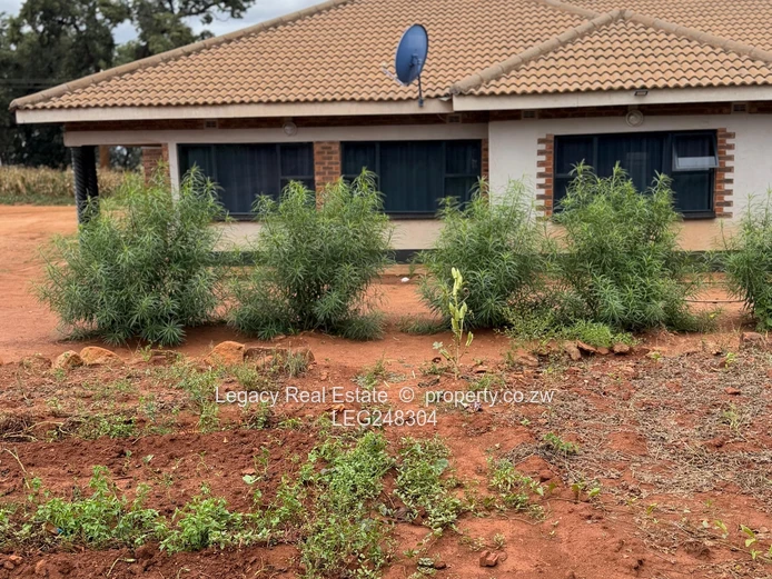 Secure Investment Opportunity In Whitecliffe