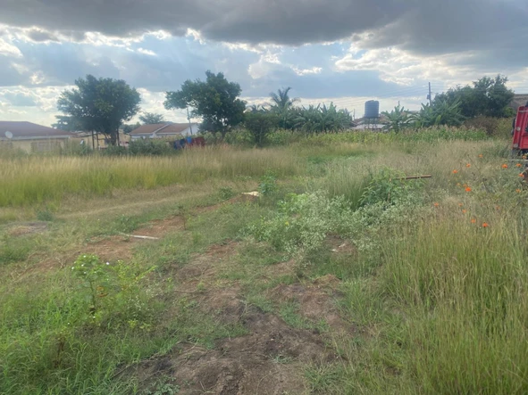 Stands & Residential Land