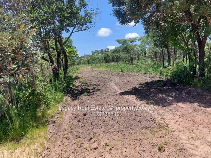 Prime Land Holding Opportunity,Goromonzi Agricultural Plots for Sale