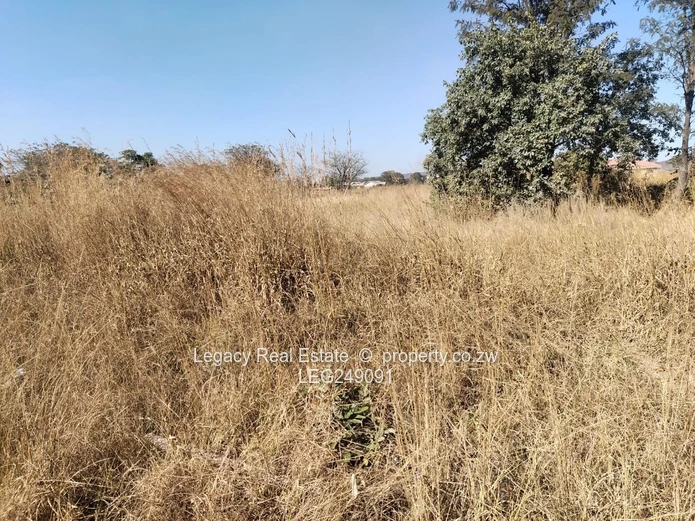 4000m² Galloway Stand — Subdivision Potential & Water