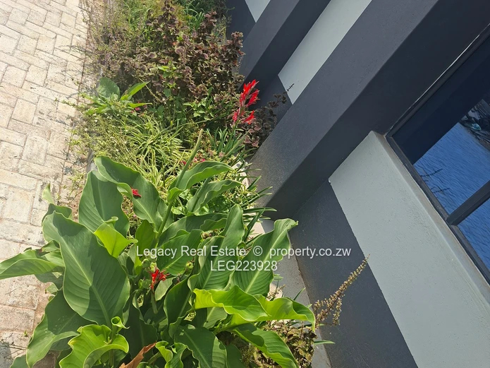 Hatfield Living Redefined | 4-Bed Cluster In Hudson Mews | Only 1 Unit left  (Sole Mandate)