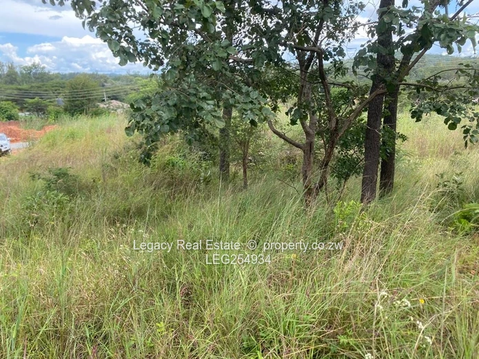Carrick Creagh Harare North 1500m² — Tarred Road & Access Control