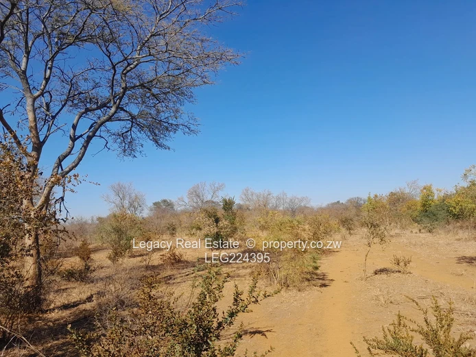  Prime 8.5-Acre Virgin Plot for Sale – Redcliff, Kwekwe (Near Harare–Bulawayo Highway)