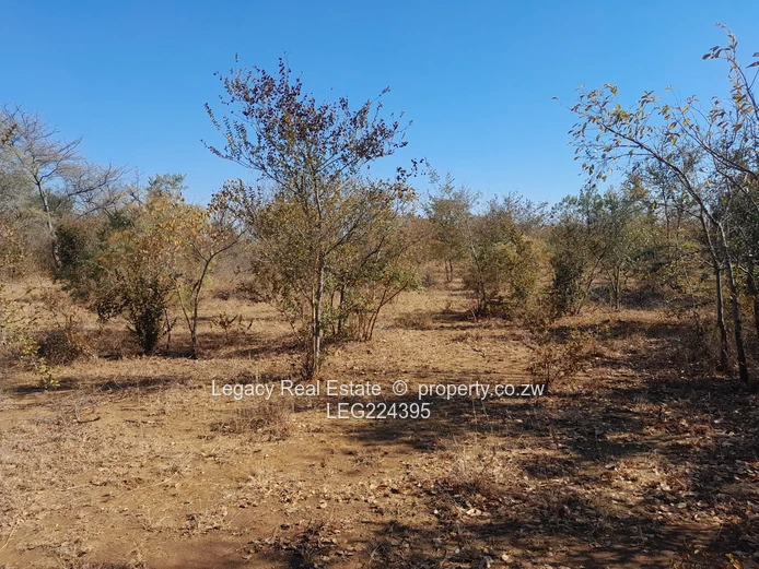  Prime 8.5-Acre Virgin Plot for Sale – Redcliff, Kwekwe (Near Harare–Bulawayo Highway)