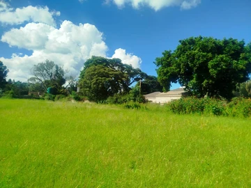 Land