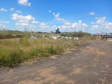 Stands & Residential Land