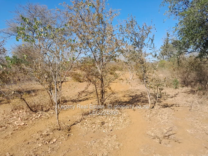  Prime 8.5-Acre Virgin Plot for Sale – Redcliff, Kwekwe (Near Harare–Bulawayo Highway)