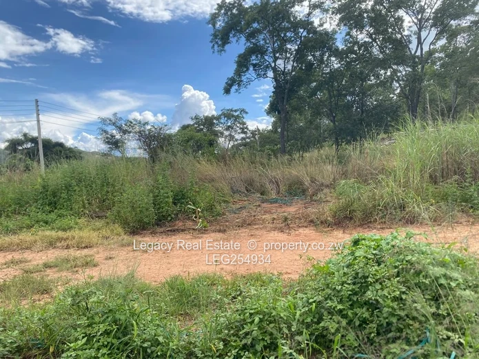 Carrick Creagh Harare North 1500m² — Tarred Road & Access Control