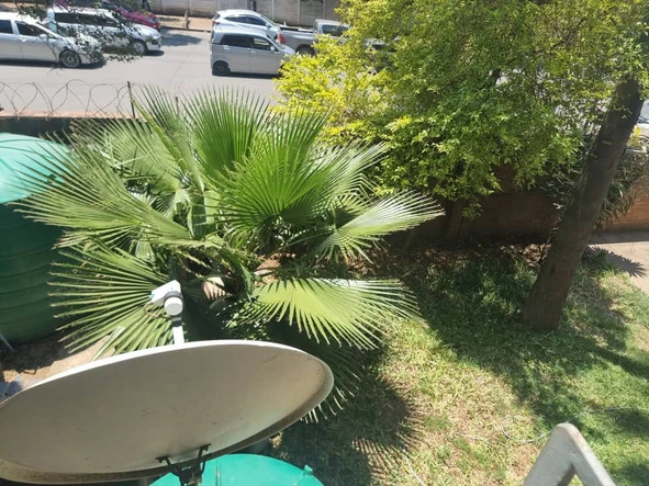 2 Bedroom Flat & Apartment