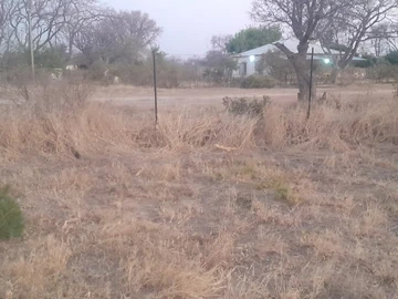 Land