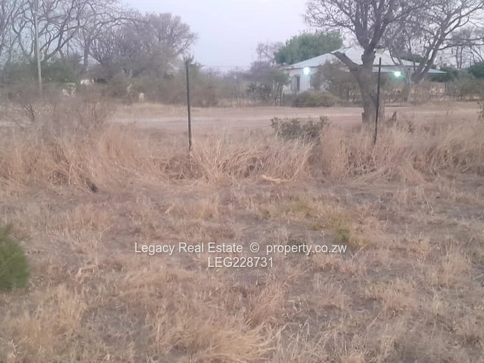 Plumtree Stand for Sale – 1 Hectare