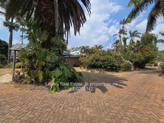 Private Newlands Oasis: 3-bed Home on 6700m² with Pool & Lapa