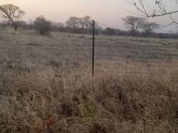 Land