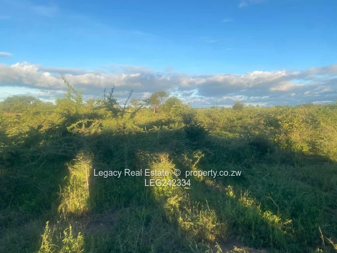 Prime Agricultural Land for Sale – Chegutu (10 Hectares)