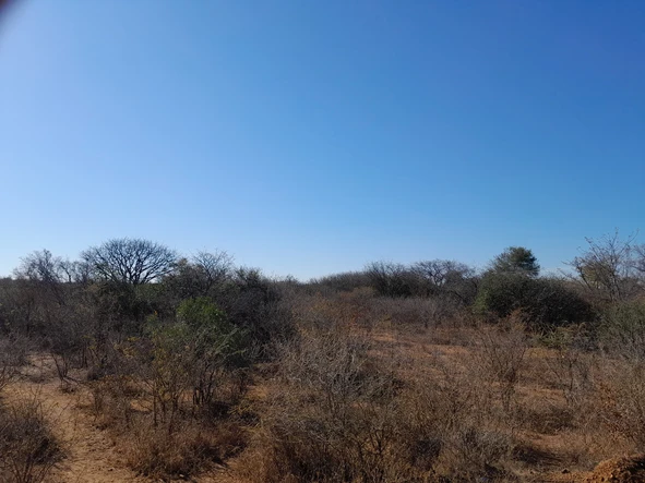 Farm & Agricultural Land