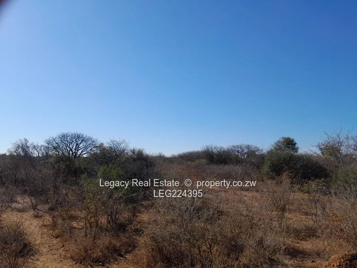  Prime 8.5-Acre Virgin Plot for Sale – Redcliff, Kwekwe (Near Harare–Bulawayo Highway)