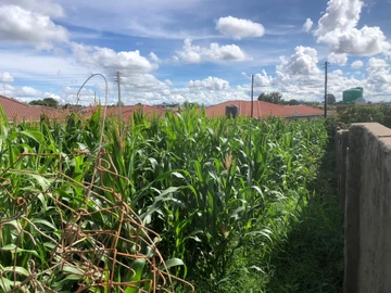 Prime Residential Land in Damofalls Phase 1 with Full Amenities