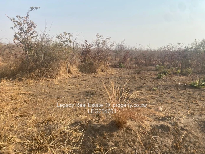 300m² Kadoma Stand — Main Road Frontage, Water & Sewer