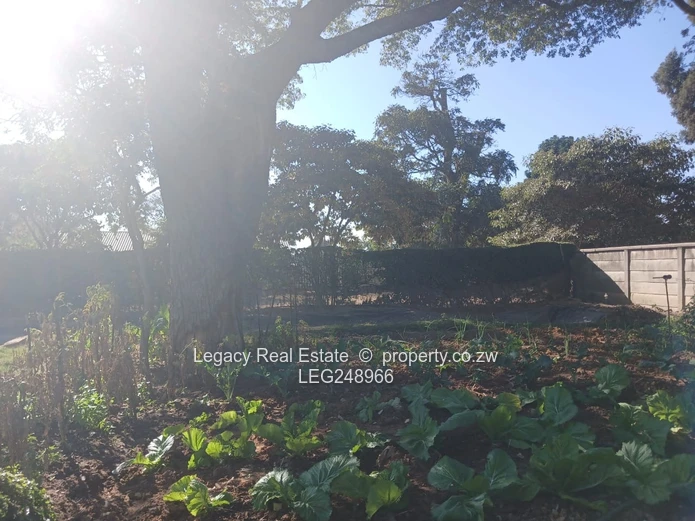 Investment-Ready Subdivision Stand With Approved Paperwork