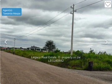 Stands & Residential Land