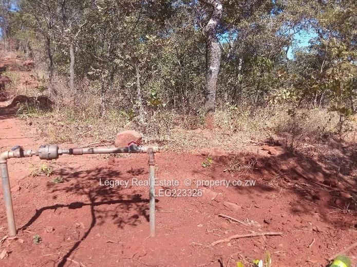 Perfect for Retreat or Investment,Tranquil 1.6ha Christon Bank Plots .