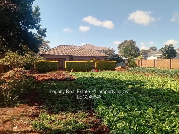 Shawasha Hills Investment Opportunity | Huge Stand | Ready To Expand WITH a Cottage