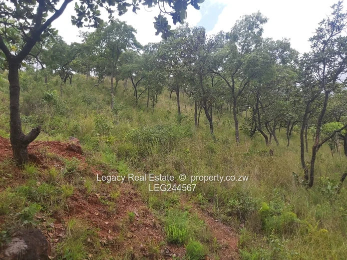 Exclusive Development Stand In Secure Gated Community