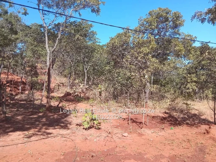 Perfect for Retreat or Investment,Tranquil 1.6ha Christon Bank Plots .