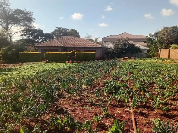 Stands & Residential Land