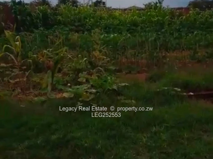 2000 m2 Prospect Stand with Existing House & Trees (Sole Mandate)