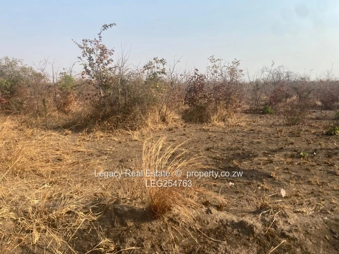 300m² Kadoma Stand — Main Road Frontage, Water & Sewer