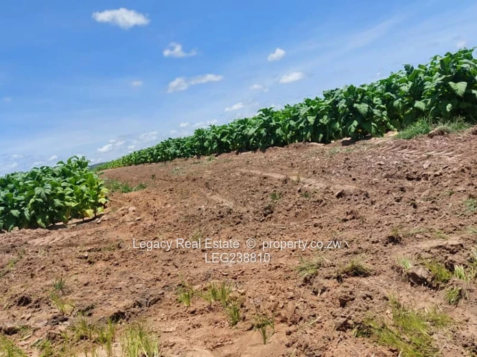 Prime Land Holding Opportunity,Goromonzi Agricultural Plots for Sale