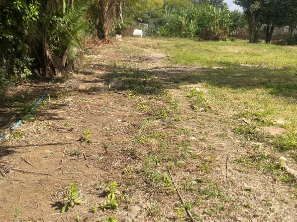 Commercial & Industrial Land