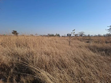 Commercial & Industrial Land