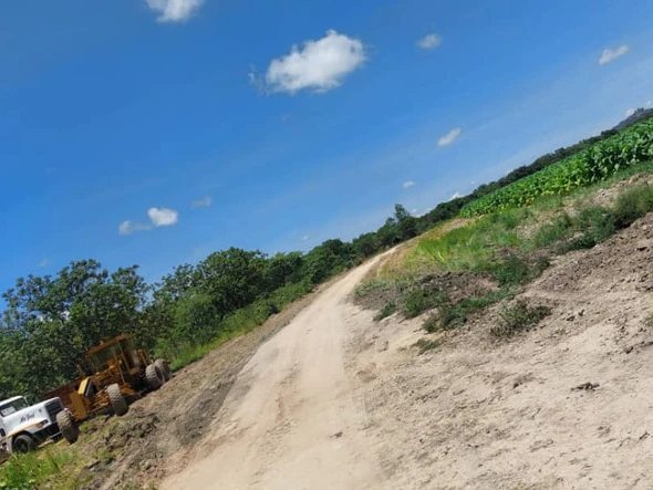 Farm & Agricultural Land