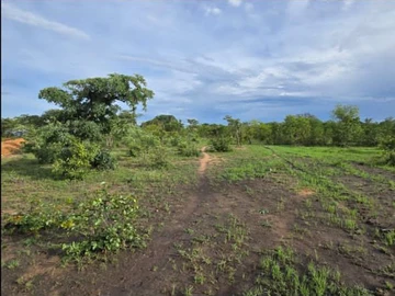 Prime 1.02-Hectare Farm Land in Kadoma with Utilities